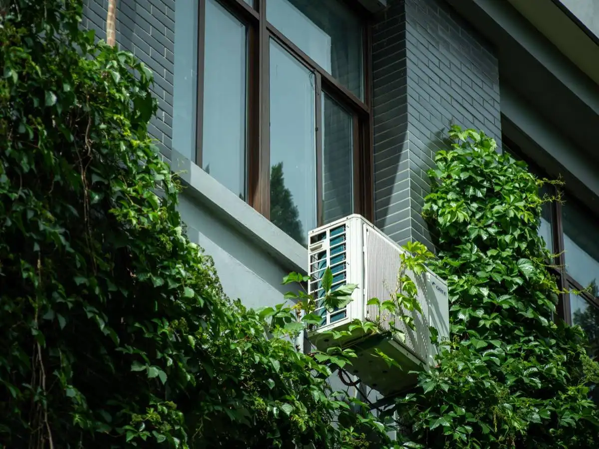 Energy-Efficient Window Replacement in Woodland, CA